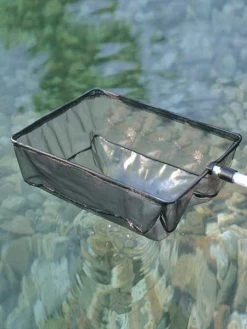 Algenkescher Gross (Art.Nr. 36297)