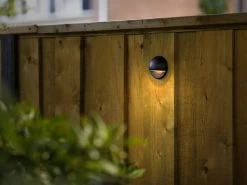 Wandstrahler Komplettset 'Vidar' Von Ludeco (Art.Nr. PL5003) -Gartenpflanzen Vidar 1280x1280