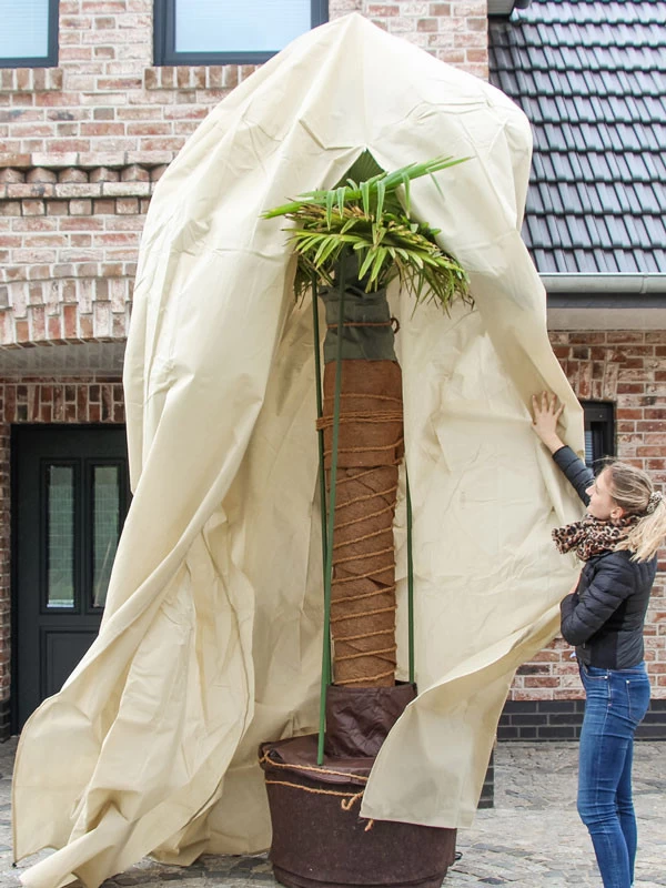 Winterschutz Palmen-Vlieshaube (Art.Nr. Vi29597) 3 Winterschutz Palmen-Vlieshaube (Art.Nr. Vi29597)