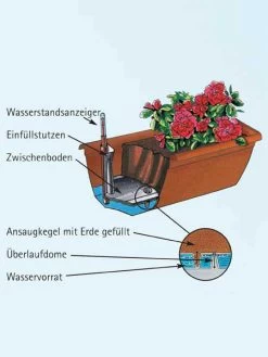 Blumenkasten Aqua Green 8 Blumenkasten Aqua Green -Gartenpflanzen aquaandalucia detail 77365 1 77388 1 1280x1280 1