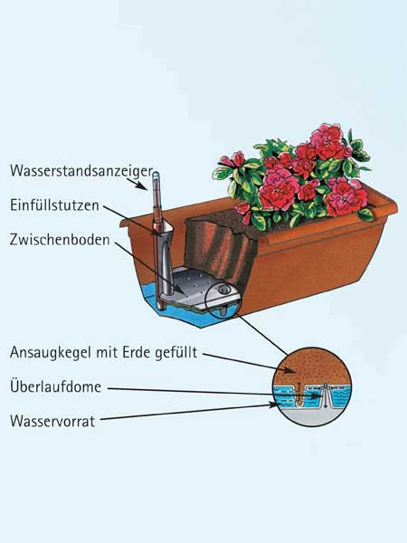 Blumenkasten Aqua Green 5 Blumenkasten Aqua Green – Bild 3