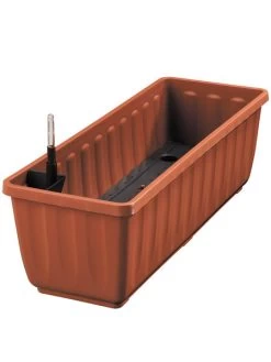 Zuckerblatt, Süßkraut, Süßblatt, Stevia Rebaudiana 10 Zuckerblatt, Süßkraut, Süßblatt, Stevia Rebaudiana -Gartenpflanzen aquaflor tera 78960 4 1280x1280