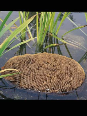 Aquahumin Von OASE (Art.Nr.53759) 4 Aquahumin Von OASE (Art.Nr.53759) – Bild 2