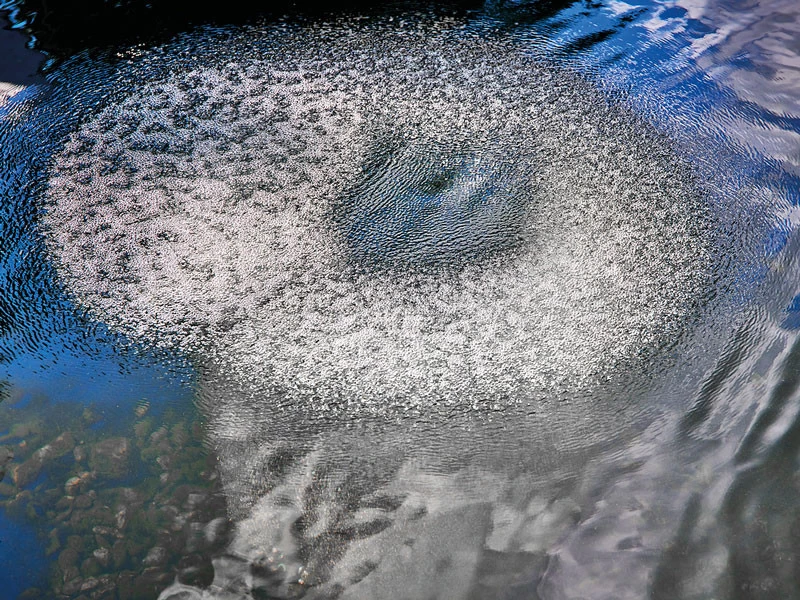 AquaOxy Belüfterring D 60 Cm Von OASE (Art.Nr. 88667) 5 AquaOxy Belüfterring D 60 Cm Von OASE (Art.Nr. 88667) – Bild 3