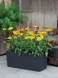 Blumenkasten Rato Case In Flechtoptik -Gartenpflanzen blumenkasten rato square be 1280x1280