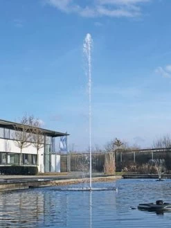 Cluster 15 - 38 Von OASE (Art.Nr. 45480) -Gartenpflanzen cluster 15 38 3 1280x1280