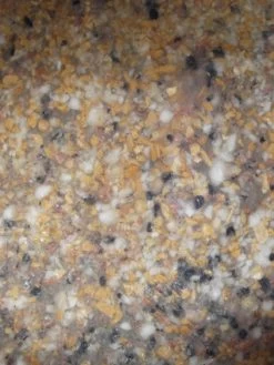 Bachlauf-Set 'Donau' (Art.Nr. 30120) -Gartenpflanzen ems material 81137 2 1280x1280