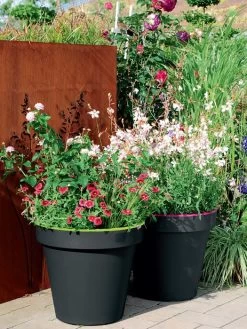 Pflanzkübel E&K Bicolor -Gartenpflanzen eundk bicolor rund57fc9f0e47970 1280x1280