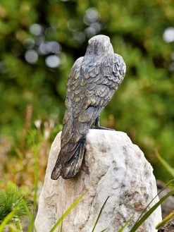 Bronzefigur Turmfalke (Art.Nr. 88462) -Gartenpflanzen falke figur bronze 1280x1280