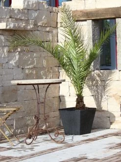 Pflanzkübel Geflecht-Dekor 20 Pflanzkübel Geflecht-Dekor -Gartenpflanzen flechtkuebel eckig niedrig57ebb4ed38d1b 1280x1280