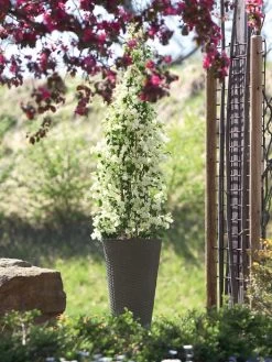 Pflanzkübel Geflecht-Dekor 18 Pflanzkübel Geflecht-Dekor -Gartenpflanzen flechtkuebel rund hoch bepf 1280x1280