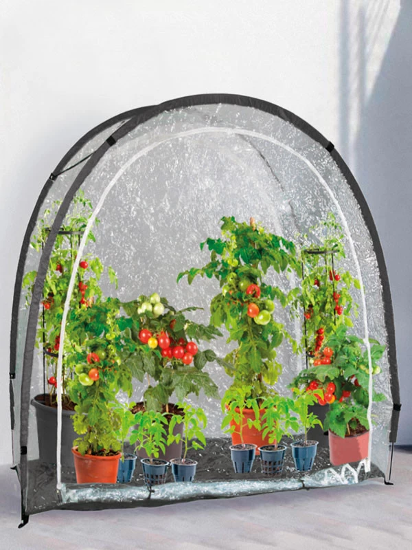 Foliengewächshaus "MARY`S" (Art.Nr. Vi26579) 3 Foliengewächshaus "MARY`S" (Art.Nr. Vi26579)