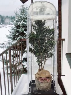 Frost-Schutzhaus SNOW (Art.Nr. V29933) 15 Frost-Schutzhaus SNOW (Art.Nr. V29933) -Gartenpflanzen frost schutzhaus balkon 1280x1280