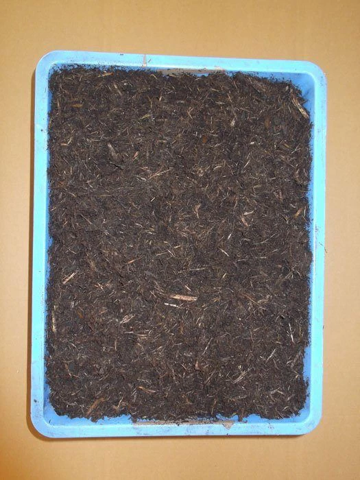 Gala Protect ® Multi-Abdeckfaser 4 Gala Protect ® Multi-Abdeckfaser – Bild 2