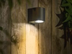 Wandstrahler 'Gilvus' Von Garden-Lights -Gartenpflanzen gilvus wand 1280x1280