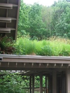 Gründach-Paket Für 15 Qm Dachfläche 7 Gründach-Paket Für 15 Qm Dachfläche -Gartenpflanzen gruendachpaket carport 1280x1280