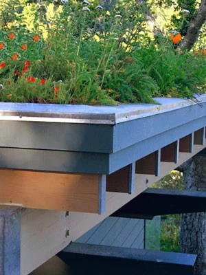 Gründach-Paket Für 15 Qm Dachfläche 4 Gründach-Paket Für 15 Qm Dachfläche – Bild 2