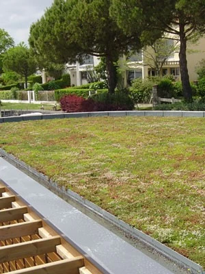 Gründach-Paket Für 15 Qm Dachfläche 3 Gründach-Paket Für 15 Qm Dachfläche