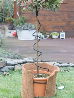 Frostschutz-Heizkabel Für Kübelpflanzen