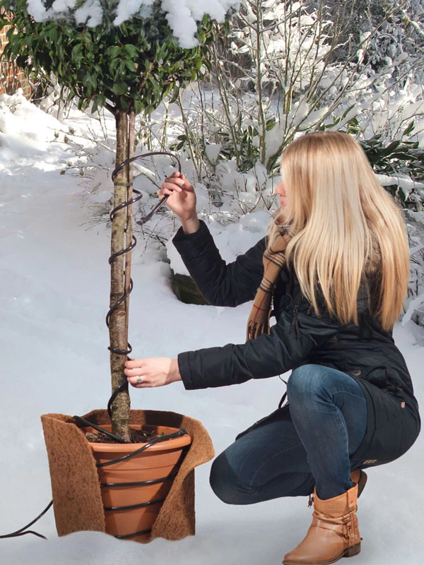 Frostschutz-Heizkabel Für Kübelpflanzen 5 Frostschutz-Heizkabel Für Kübelpflanzen – Bild 3