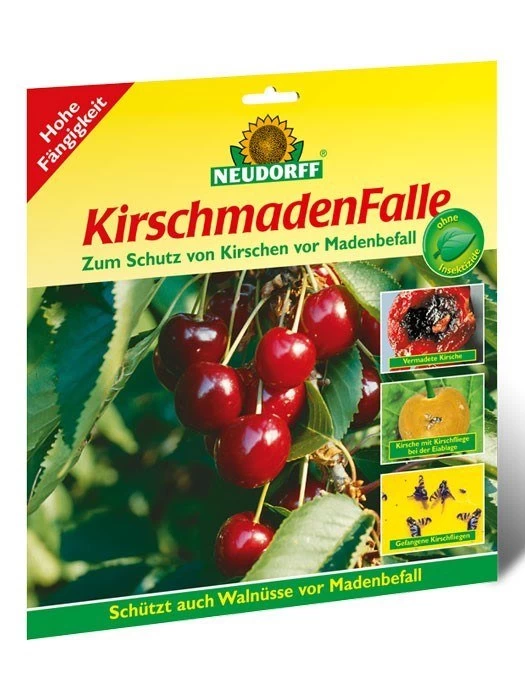 Kirschmadenfalle 3 Kirschmadenfalle