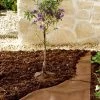 Bio-Mulchvlies Aus Neutralem Vliesmaterial -Gartenpflanzen mulchvlies 1280x1280