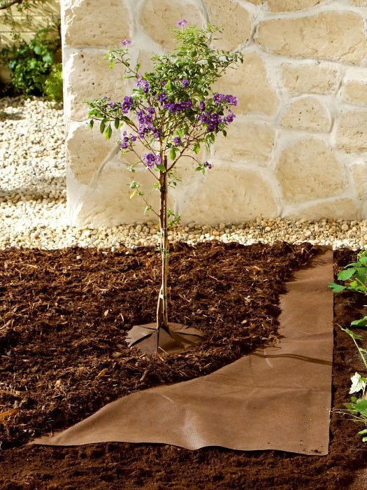 Bio-Mulchvlies Aus Neutralem Vliesmaterial 3 Bio-Mulchvlies Aus Neutralem Vliesmaterial