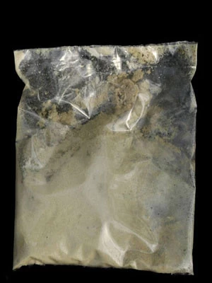 Trauermücken-Nematode (Art.Nr. KB4136) 4 Trauermücken-Nematode (Art.Nr. KB4136) – Bild 2