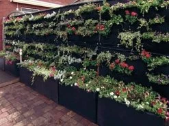 Overgrowing Mat Von Velda (Art.Nr.Vel127590) -Gartenpflanzen overgrowing mat beispiel 1280x1280