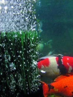 OxyTex 400 CWS Von OASE (Art.Nr. 50443) -Gartenpflanzen oxytex 3 1 75830 1 1280x1280