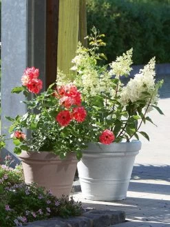 Pflanzkübel Milano -Gartenpflanzen pflanzkuebel milano stim 2 1280x1280