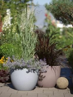 Pflanzkübel Rimini -Gartenpflanzen pflanzkuebel rimini stimmun 1280x1280