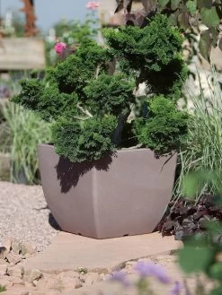 Pflanztopf Ravenna -Gartenpflanzen pflanztopf ravenna stimmung 1280x1280