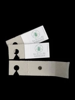 Schlupfwespe (Art.Nr. KB3056) -Gartenpflanzen schlupfwespe versand verpac 80549 2 1280x1280