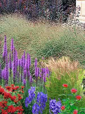 Schnitt-Stauden Sortiment II (12 Stück) 3 Schnitt-Stauden Sortiment II (12 Stück)