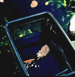 BIOsys Skimmer+ Von OASE (Art.Nr.57137) -Gartenpflanzen skimmer j18 1280x1280