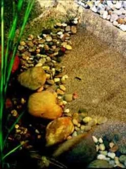 Steinfolie Sand Von OASE -Gartenpflanzen steinfolie j33 1280x1280