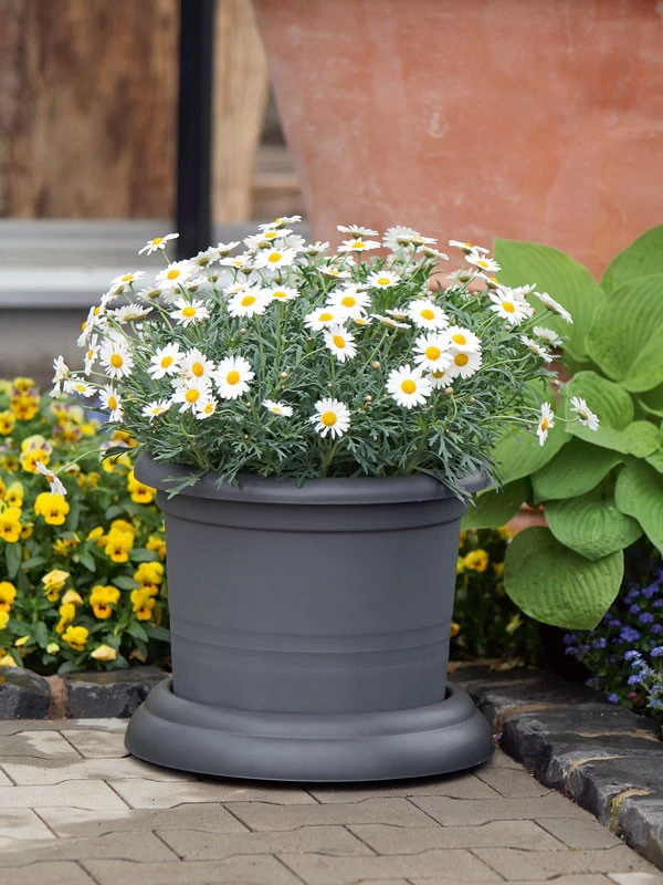 Untersetzer Mit Rollen 5 Untersetzer Mit Rollen – Bild 3