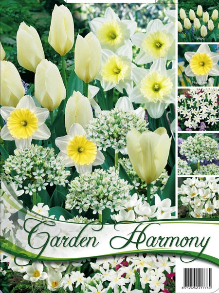 Edle Farbkombination 'Weißer Garten' (Art.Nr. 598244) 3 Edle Farbkombination 'Weißer Garten' (Art.Nr. 598244)