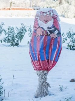 Winterschutz-Vlieshaube "blau-rot" (Art.Nr. Vi29136) -Gartenpflanzen wintervlies fan rot blau 1280x1280