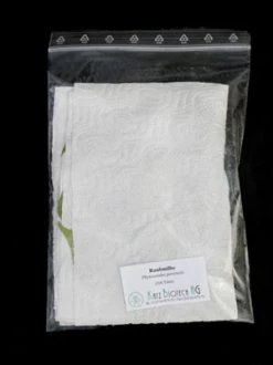 Phytoseiulus-Raubmilbe (Art.Nr. KB4480) -Gartenpflanzen zipbeutel versand raubmilbe 80537 2 1280x1280